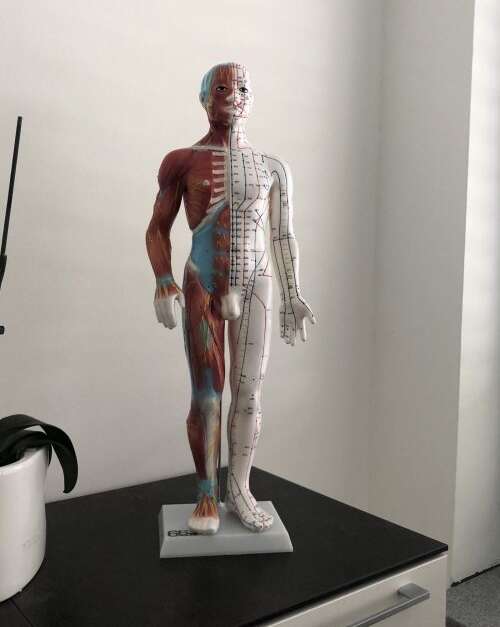 Die Schwerpunkte und Behandlungen sind hierbei unter anderem